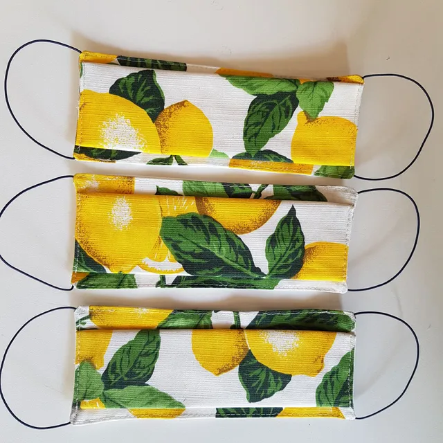 Borseggi Mascherine Mascherina Limoni