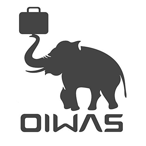 OIWAS Backpacks Zaino porta PC 14 pollici